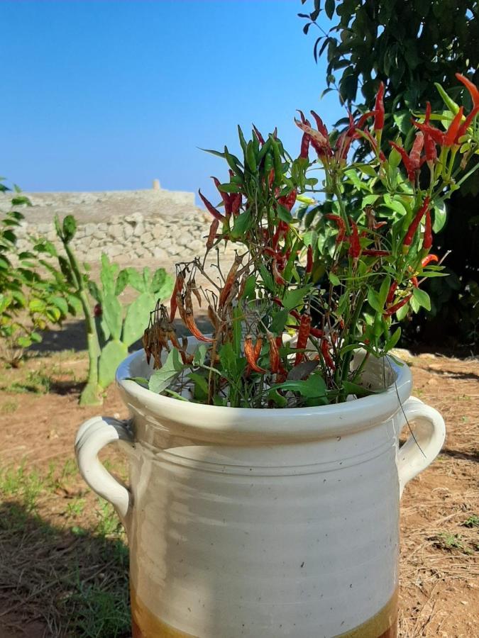 Tenuta L'Alba Di Monte Matino Otranto Exterior foto